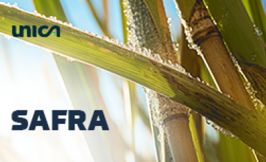 Centro-Sul fecha safra com 611 mi t de cana e foco no etanol