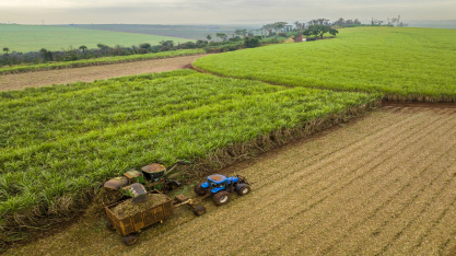Os canaviais podem contar com Votivo® Prime, o primeiro bionematicida lançado pela BASF