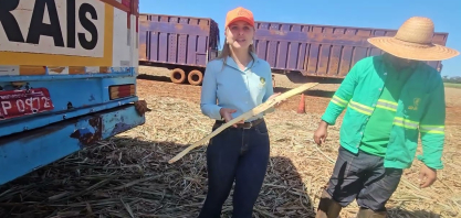 Monitoramento de pragas reforça eficiência do manejo nos canaviais da São Jorge Agronegócios