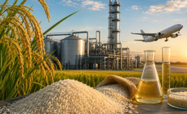 Projeto no Rio Grande do Sul aposta no arroz para produção de etanol e combustível sustentável de aviação