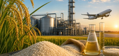 Projeto no Rio Grande do Sul aposta no arroz para produção de etanol e combustível sustentável de aviação