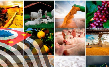 Agro paulista cresce em 2025 com liderança de carnes e café no Valor da Produção Agropecuária