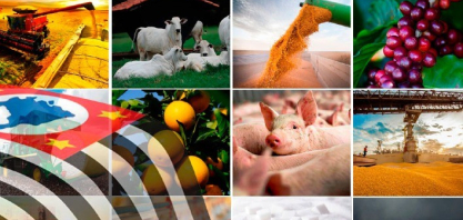Agro paulista cresce em 2025 com liderança de carnes e café no Valor da Produção Agropecuária
