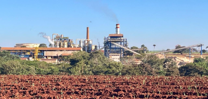 Top 15 da cana reduz concentração na safra 2025/26