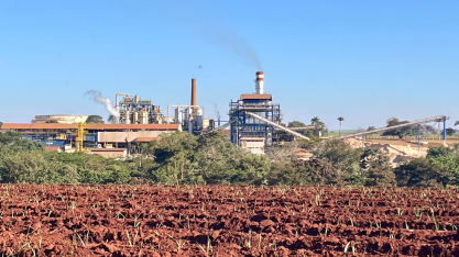Top 15 da cana reduz concentração na safra 2025/26