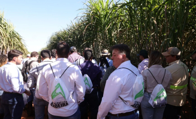 Bioenergética Aroeira promove 10º Encontro Técnico de Variedades de Cana-de-Açúcar