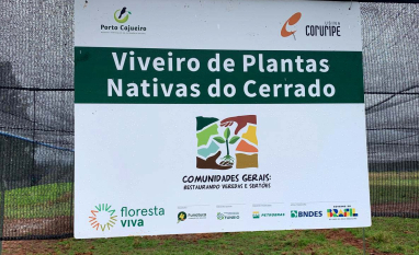 Construção de viveiro no Norte de Minas transforma sementes do Cerrado em estratégia de restauração ambiental e renda para a comunidade