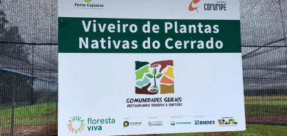Construção de viveiro no Norte de Minas transforma sementes do Cerrado em estratégia de restauração ambiental e renda para a comunidade