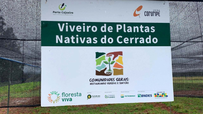 Construção de viveiro no Norte de Minas transforma sementes do Cerrado em estratégia de restauração ambiental e renda para a comunidade
