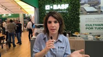 Novo fungicida da BASF mantém a planta saudável, equilibrada e mais apta a expressar rendimento