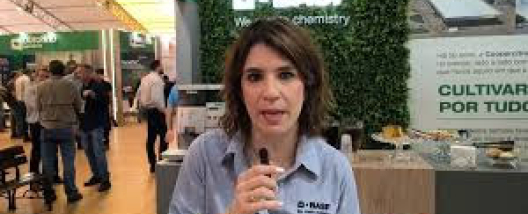 Novo fungicida da BASF mantém a planta saudável, equilibrada e mais apta a expressar rendimento