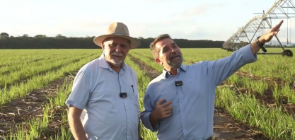 Usina Porto Rico transforma água da lavagem da cana em irrigação no maior pivô de Alagoas