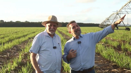 Usina Porto Rico transforma água da lavagem da cana em irrigação no maior pivô de Alagoas