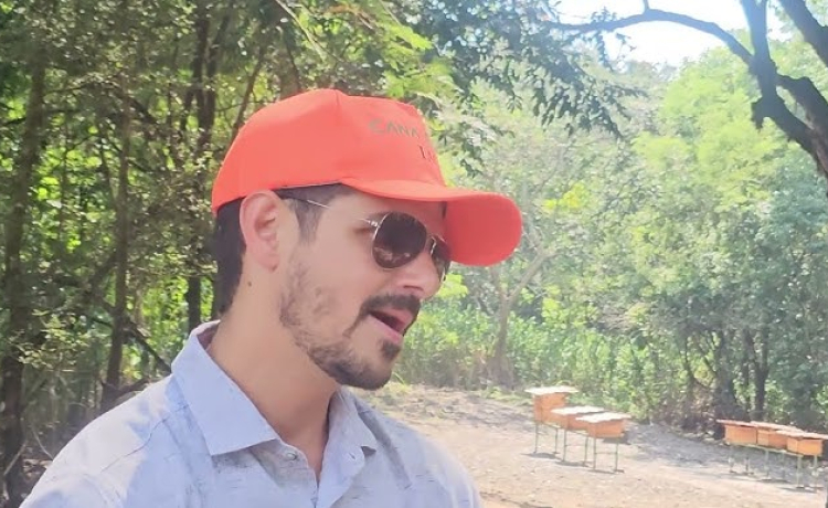 Na Beggio Lorenzo Agropecuária abelhas e agronegócio se complementam