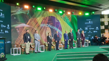 China entra no centro do debate sobre milho e sorgo em congresso da Abramilho