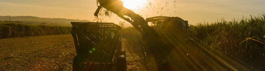 Na Agrishow 2026, John Deere destaca diferenciais da nova colhedora de cana CH-9