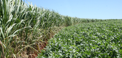 Dívida rural: Comissão do Senado aprova PL de renegociação; veja principais pontos do texto