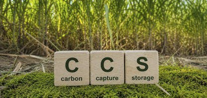 Brasil amplia áreas mapeadas para projetos de captura de carbono