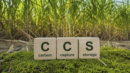 Brasil amplia áreas mapeadas para projetos de captura de carbono