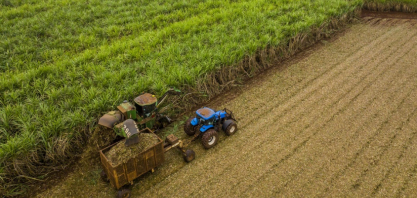 Novo bionematicida da BASF promete eficiência no controle de nematoides