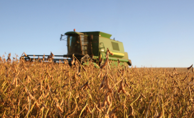 AliançaBiodiesel cobra inclusão de biocombustíveis em novo padrão para máquinas agrícolas