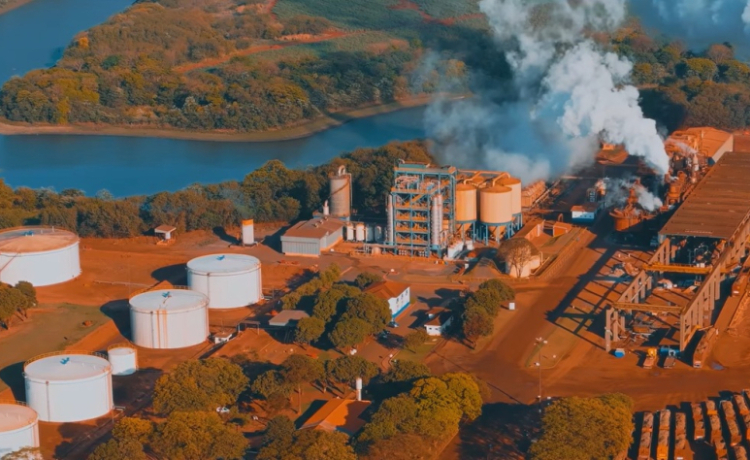 Volatilidade pressiona setor e etanol ganha papel estratégico