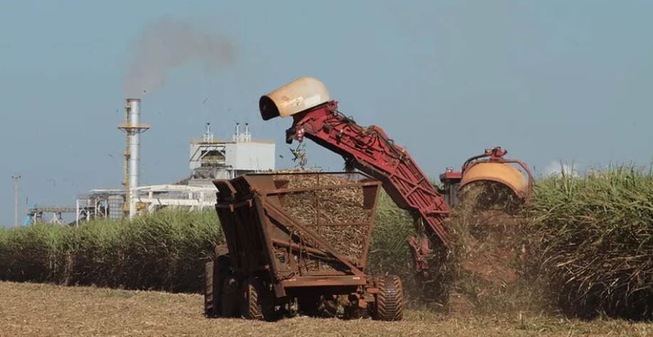 Usinas brasileiras tendem a direcionar uma parcela maior da cana-de-açúcar para a produção de etanol, reduzindo a oferta de açúcar — Foto: Wenderson Araujo/CNA