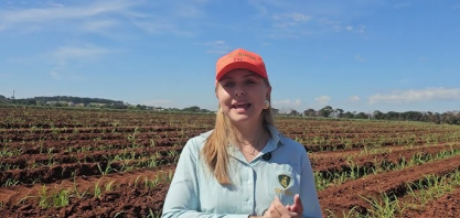 Gestão de custos e estudo de solos elevam eficiência na São Jorge Agronegócio