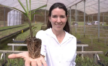 Produtora de Batatais revoluciona lavoura de cana e destaca liderança feminina no agro