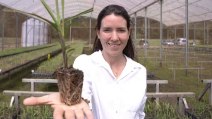 Produtora de Batatais revoluciona lavoura de cana e destaca liderança feminina no agro