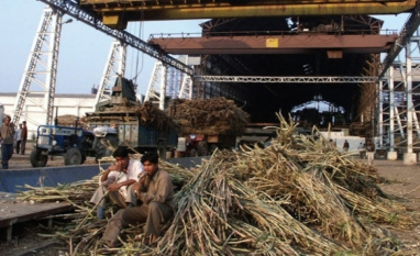Índia descarta restringir exportações de açúcar apesar de menor produção