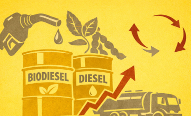 Biodiesel mira exemplo do etanol, mas barreiras químicas travam avanço
