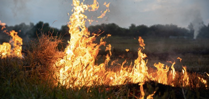El Niño eleva risco de queimadas e pressiona setor elétrico