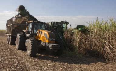 Usinas priorizam produção de etanol no início da safra de cana