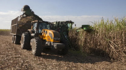 Usinas priorizam produção de etanol no início da safra de cana