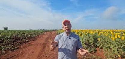 Produtor de Jaboticabal aposta na rotação de culturas e colhe três safras em 17 meses