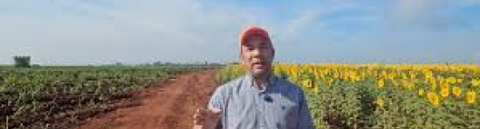 Produtor de Jaboticabal aposta na rotação de culturas e colhe três safras em 17 meses