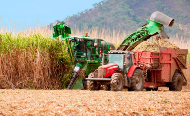 Agro paulista amplia exportações em 5%, mesmo diante dos desafios globais