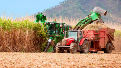 Agro paulista amplia exportações em 5%, mesmo diante dos desafios globais