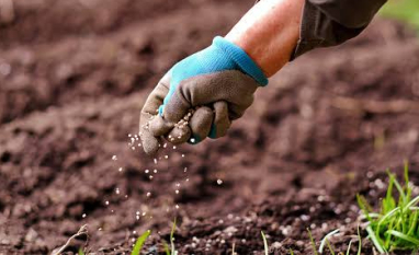 Entregas de fertilizantes registraram mais de 9 milhões de toneladas no primeiro trimestre