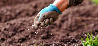 Entregas de fertilizantes registraram mais de 9 milhões de toneladas no primeiro trimestre