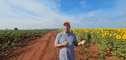 Cana Show Itinerante: Família Nakagi usa rotação de culturas para elevar produtividade em Jaboticabal