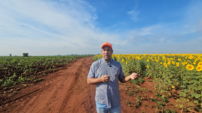 Cana Show Itinerante: Família Nakagi usa rotação de culturas para elevar produtividade em Jaboticabal