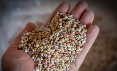 Análise sobre o mercado de fertilizantes: queda nas cotações de ureia, MAP e cloreto de potássio no Brasil
