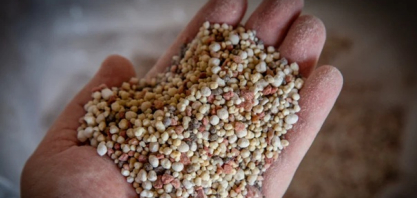 Análise sobre o mercado de fertilizantes: queda nas cotações de ureia, MAP e cloreto de potássio no Brasil