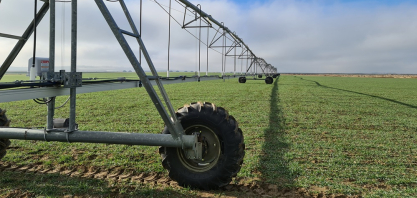 Nova regra para irrigação exige planejamento e amplia papel da tecnologia no campo