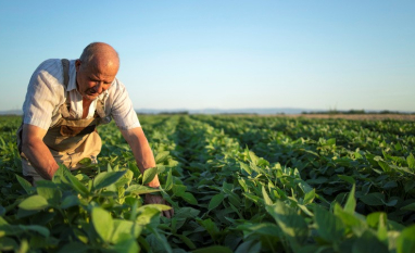 Sustentabilidade e competitividade no agro passam pelo uso de insumos de matriz orgânica