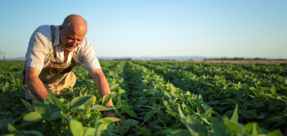 Sustentabilidade e competitividade no agro passam pelo uso de insumos de matriz orgânica