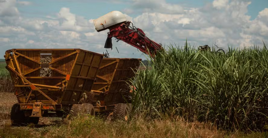 Do total de cana processada no período nas duas regiões, 55,20% foram direcionados para a produção de etanol — Foto: Wenderson Araújo/CNA
