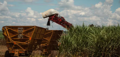 Moagem de cana cai no Norte e Nordeste, mas produção de etanol cresce